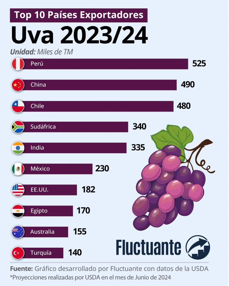 exportaciones de uva de mesa; exportaciones de uva de mesa campaña 2023-2024 top diez paises mundiales