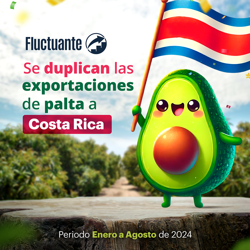 Se duplican las exportaciones de palta a Costa Rica