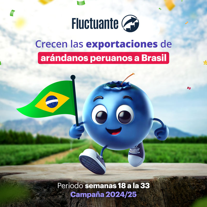 Crecen-las-exportaciones-de-arándanos-peruanos-a-Brasil