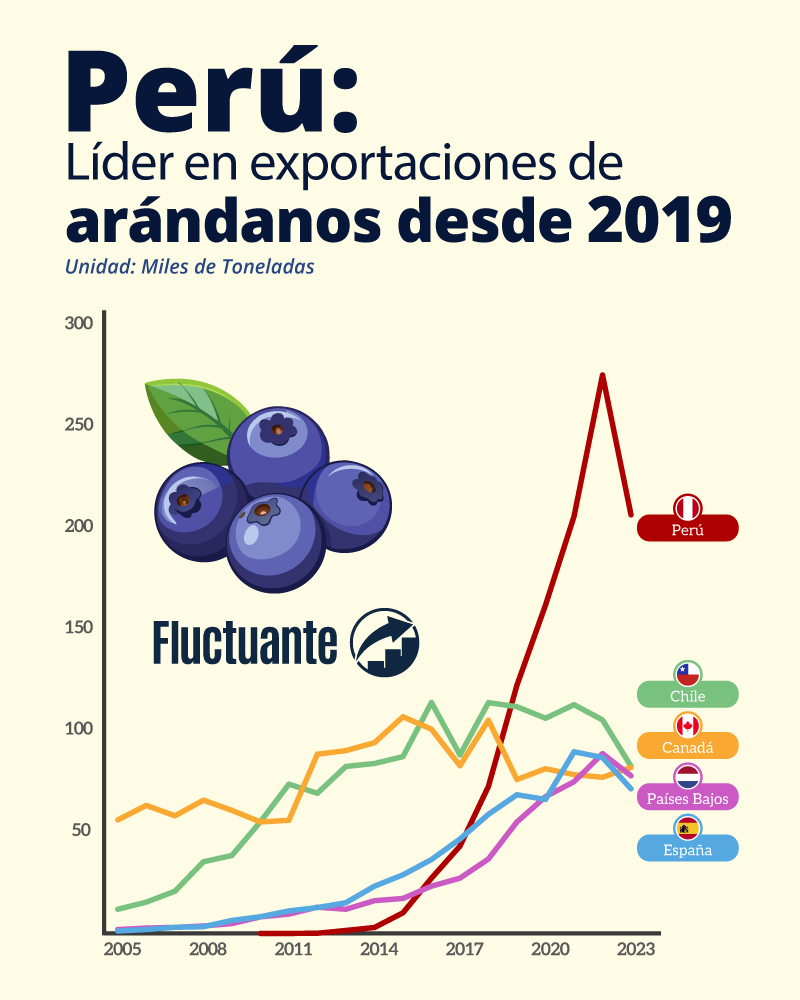 Perú-Líder-en-exportaciones-de-arándanos-desde-2019