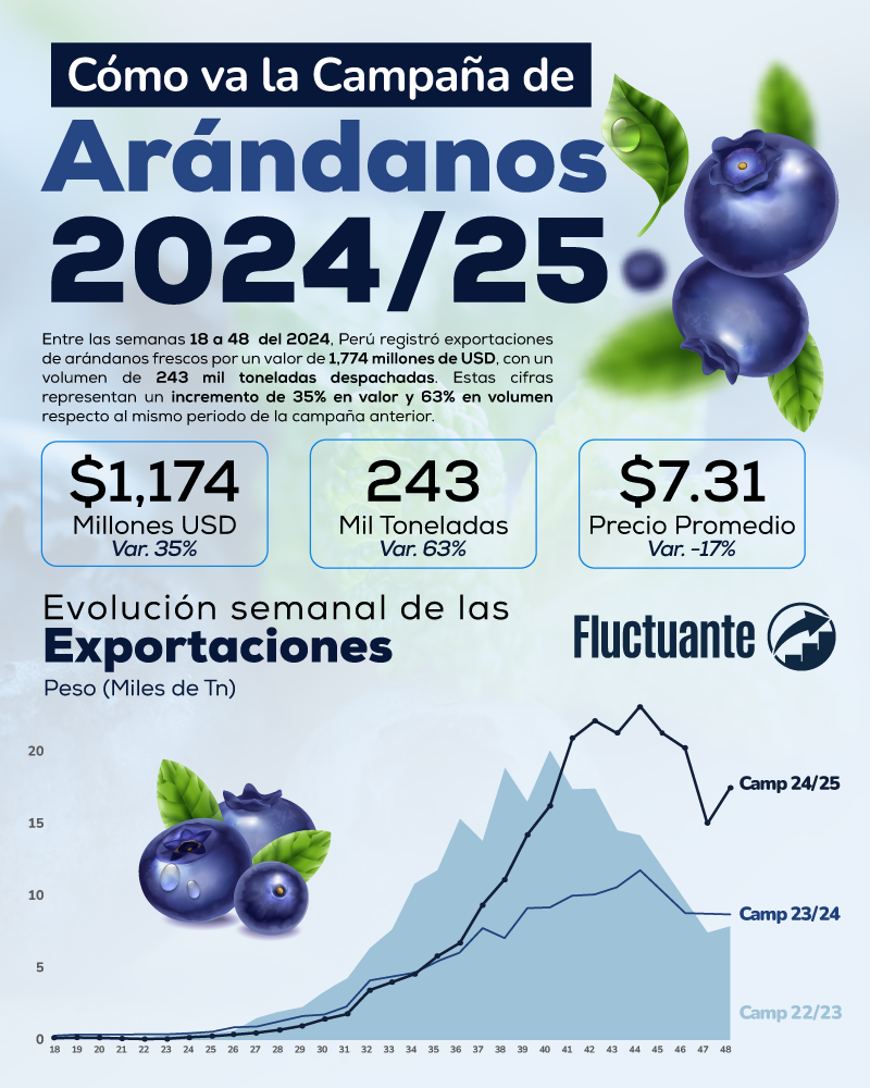 Cómo-va-la-campaña-de-arándano-peruano-2024-25