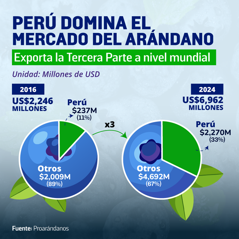 Perú-Domina-la-exportación-de-arándanos