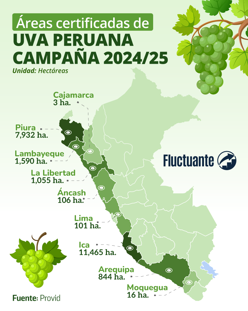 Áreas-certificadas-de-uva-peruana-2024-25