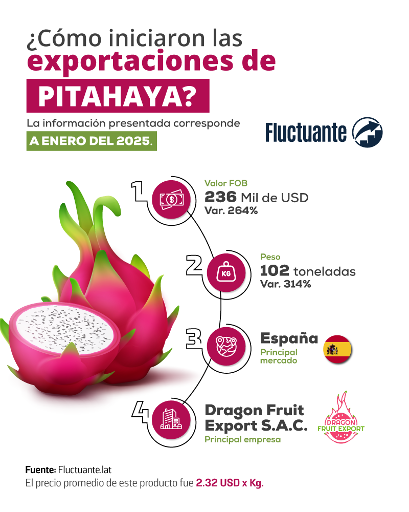 Cómo-iniciaron-las-exportaciones-de-Pitahaya