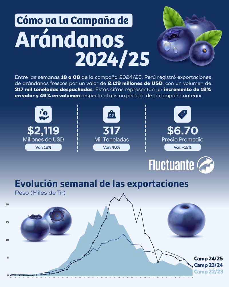 cómo-va-la-campaña-de-arándanos-2024-25