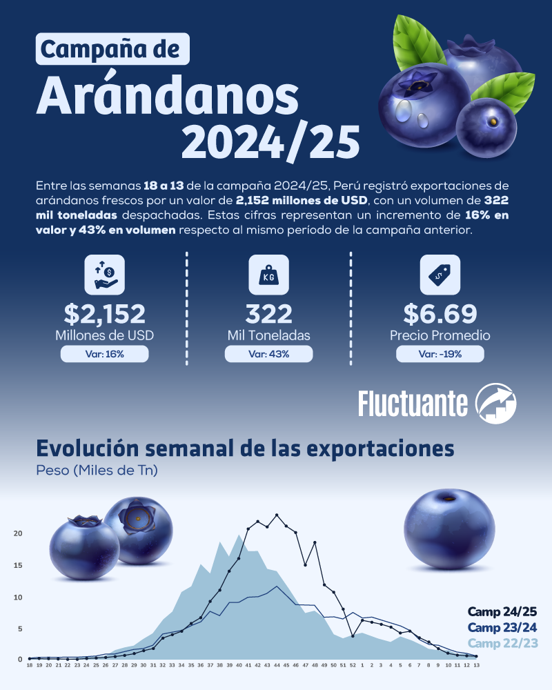 Cómo-va-la-Campaña-de-Arándanos-2024-25