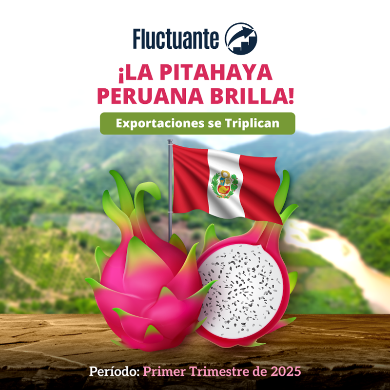 la-Pitahaya-peruana-brilla