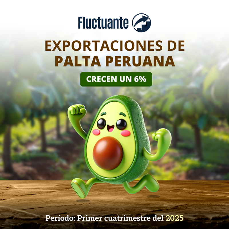 Exportaciones-de-palta-peruana-crecen-6