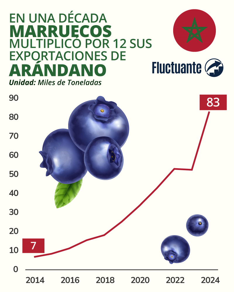 Marruecos-multiplicó-por-12-su-exportación-de-arándanos