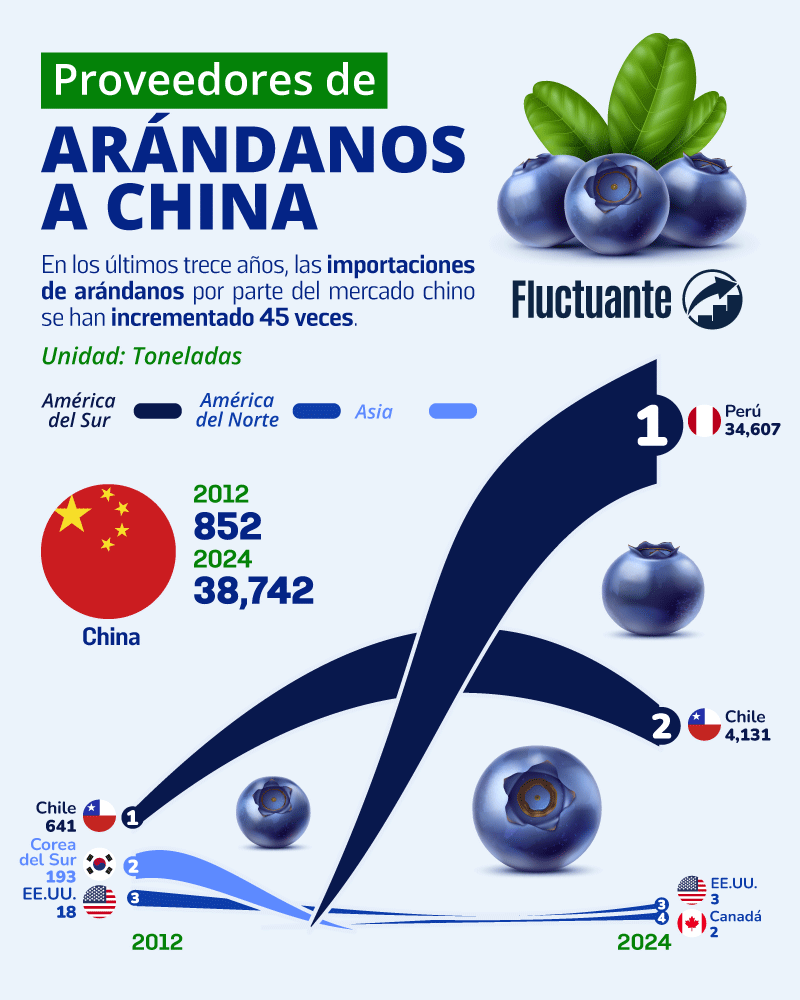 Importación-de-Arándanos-en-China