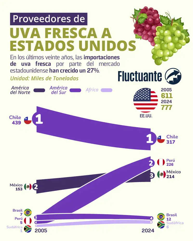 Proveedores-de-Uva-Fresca-a-EEUU