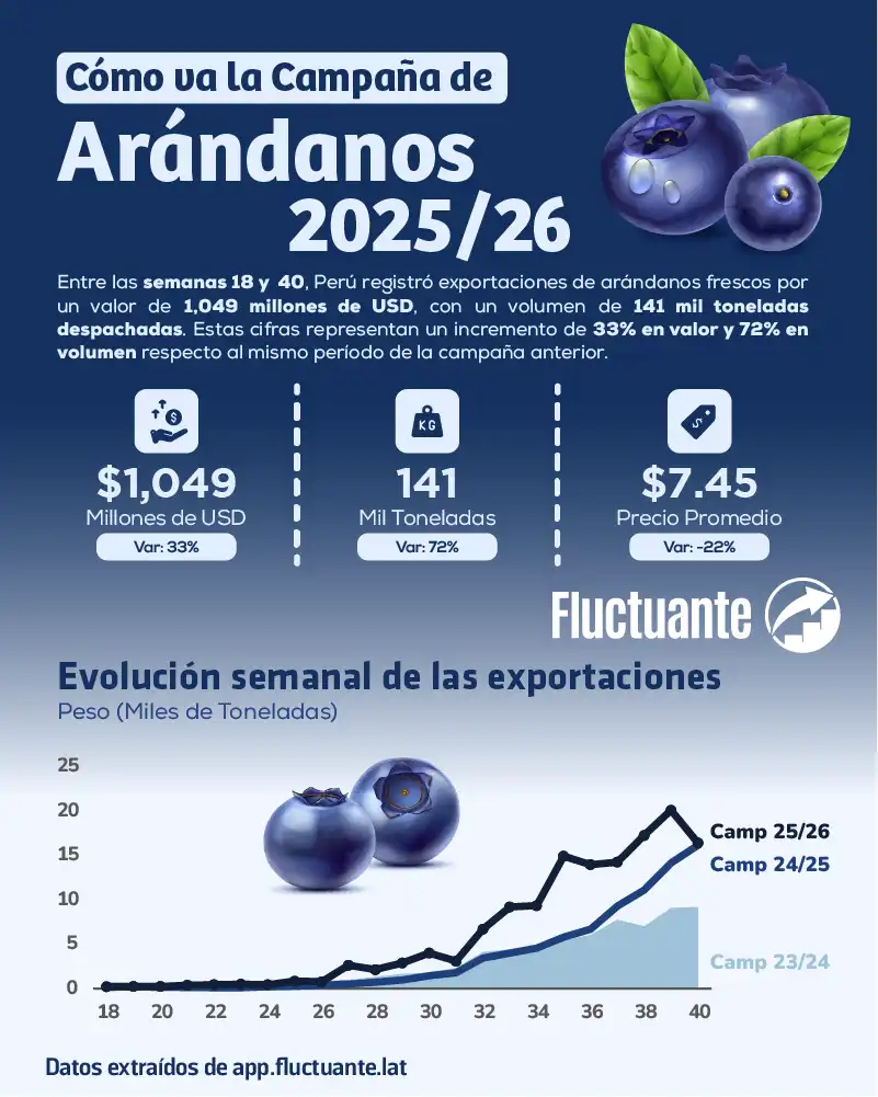 Cómo-va-la-campaña-de-Arándanos-25-26