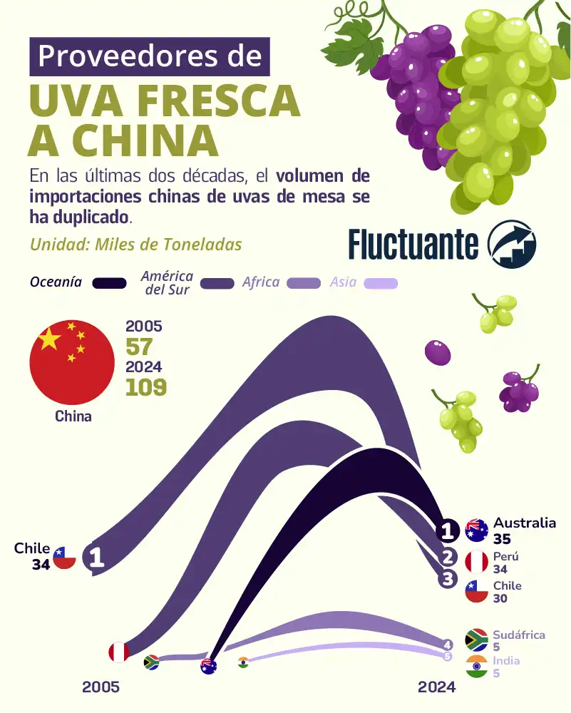 Proveedores-de-Uva-Fresca-a-China