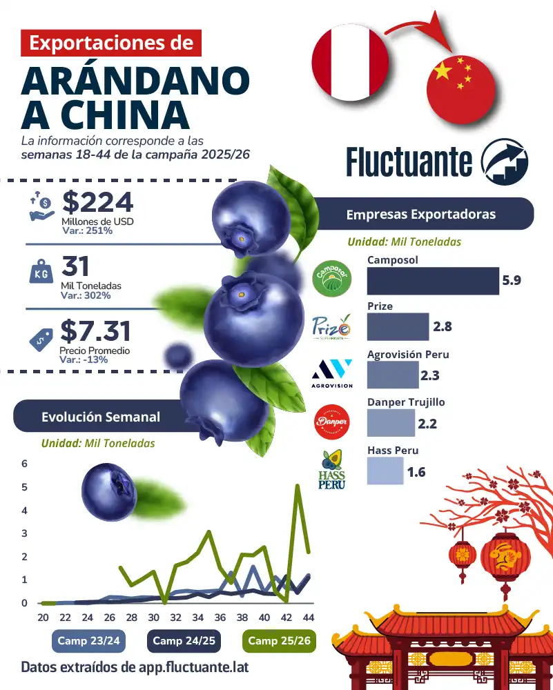 Exportaciones-de-Arándano-a-China