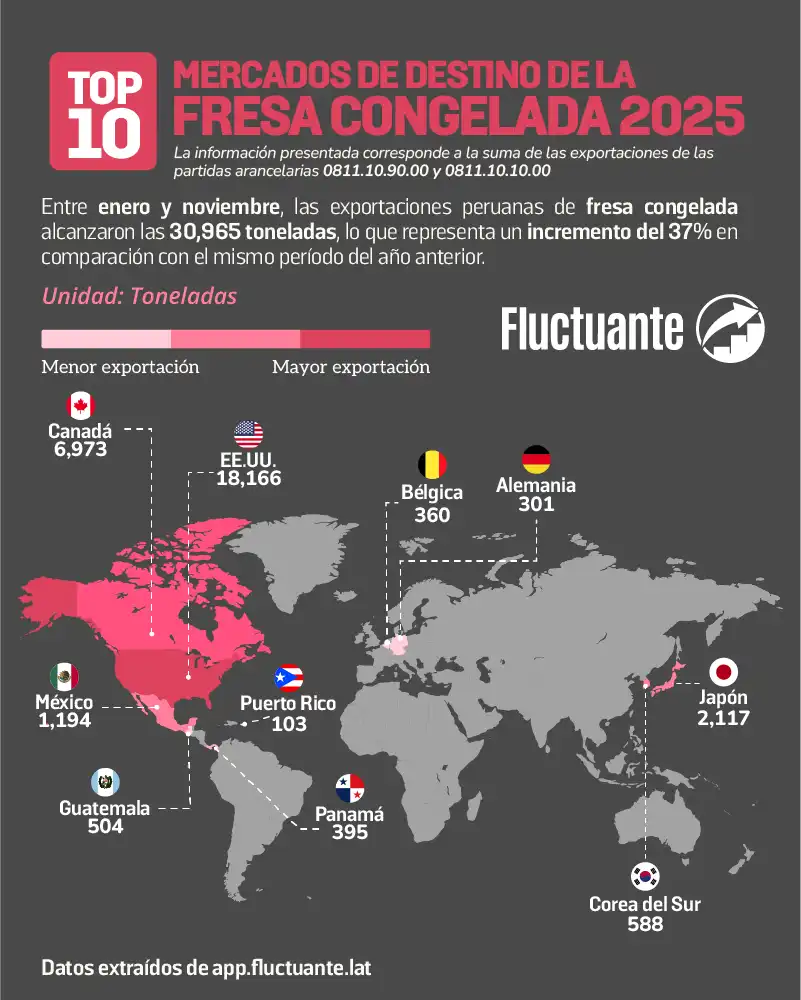 Mercados-Destino-Fresa-Congelada
