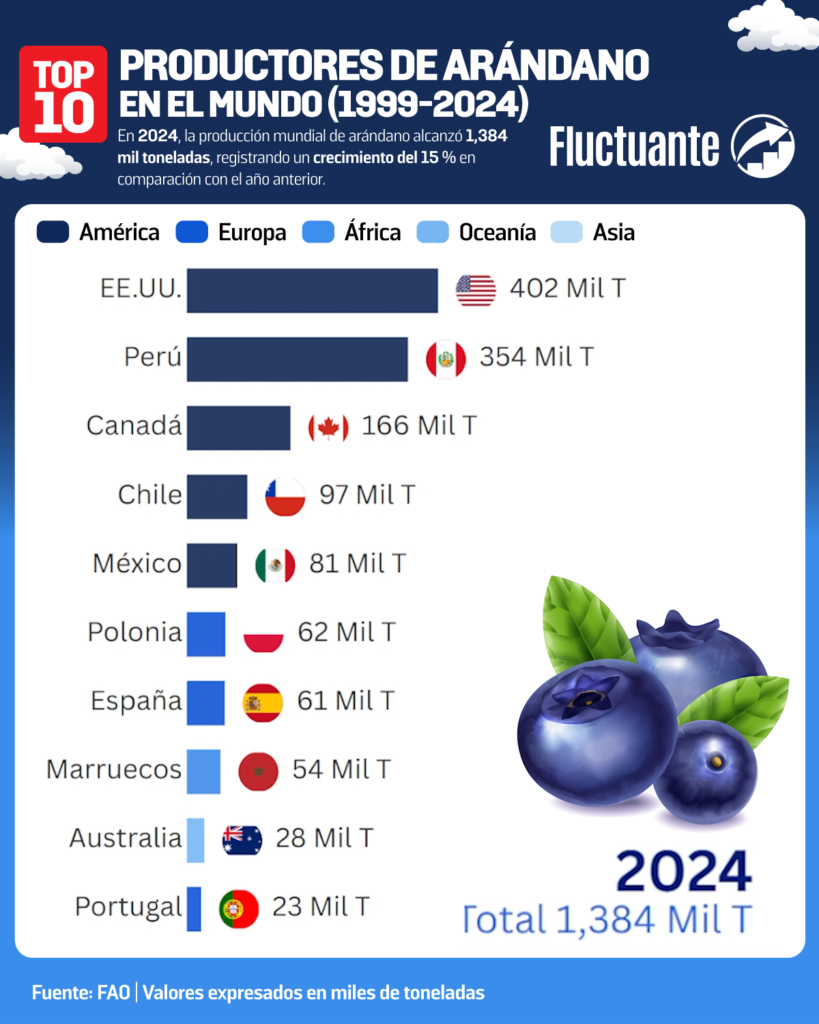 Top 10 Productores de Arándanos Mundial 1999-2024