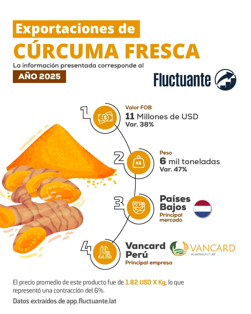 Exportaciones-de-Cúrcuma-Fresca