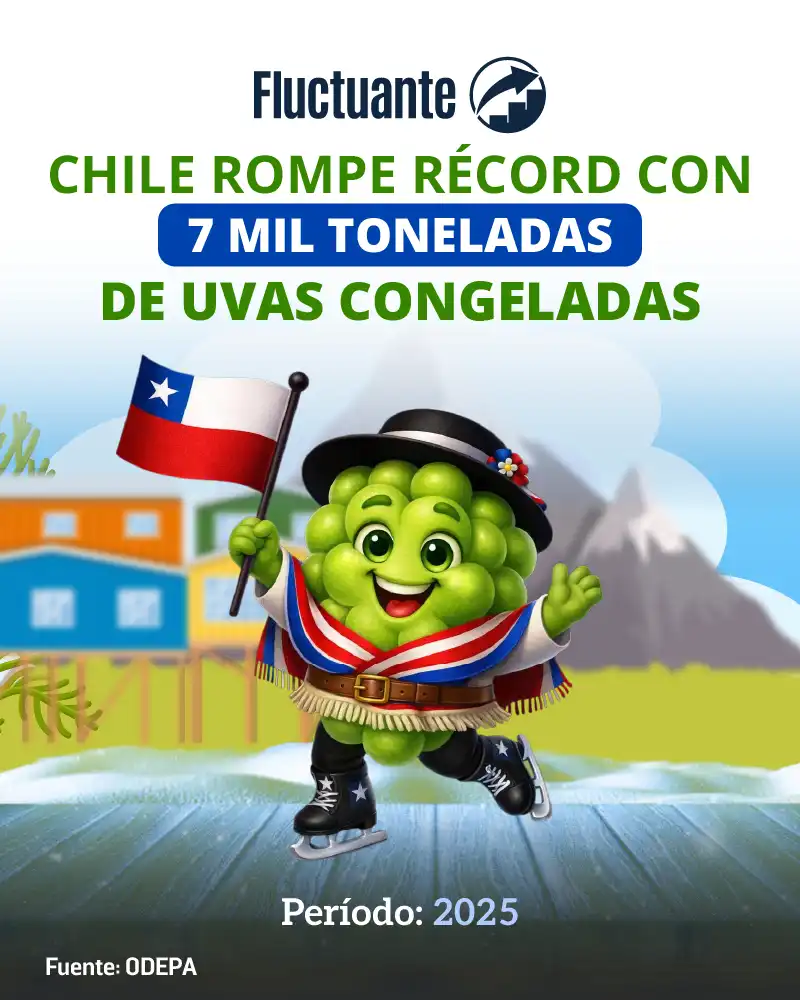 Chile-rompe-record-7mil-ton-uva-congelada