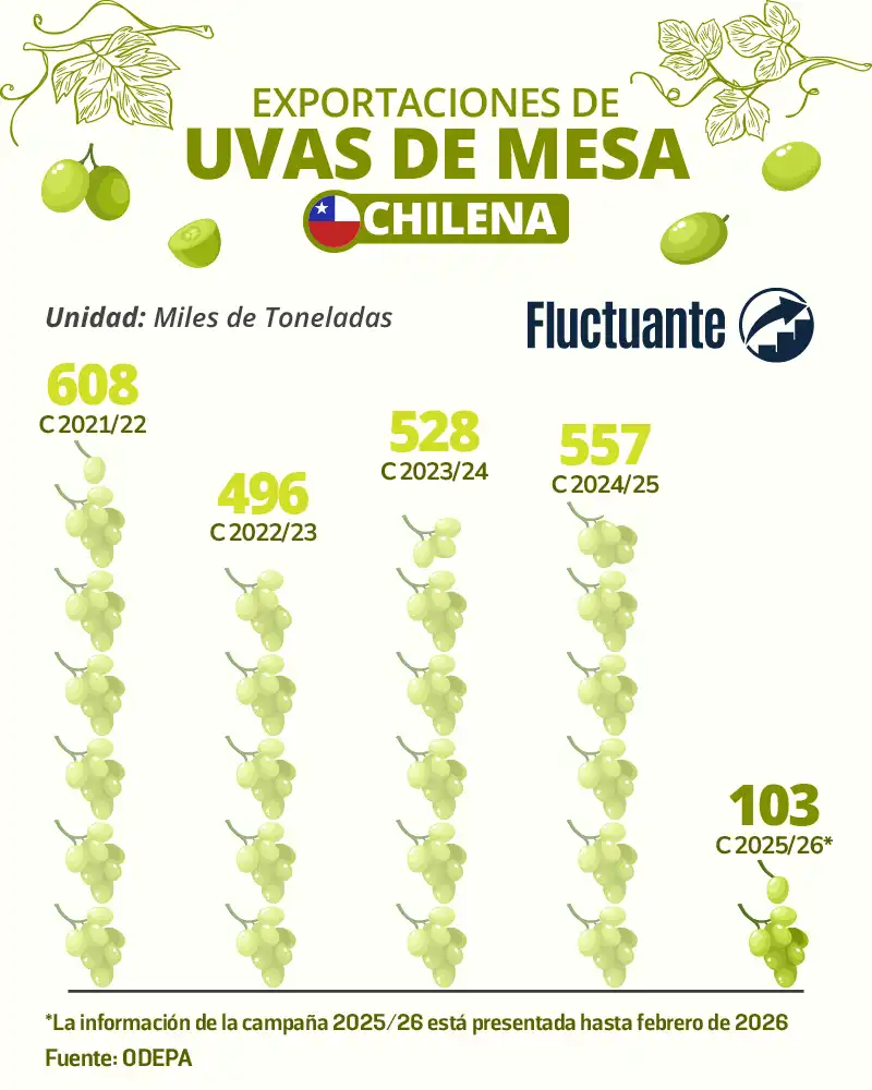 Exportaciones-de-Uva-de-Mesa-Chilena