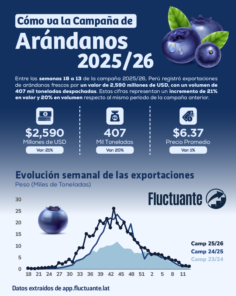 Cómo-va-la-campaña-de-Arándano-25-26