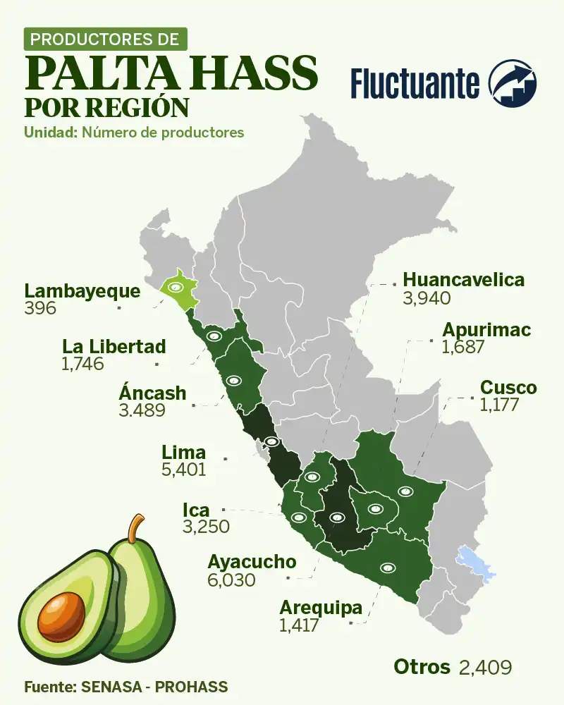 Productores-de-Palta-Hass-por-región