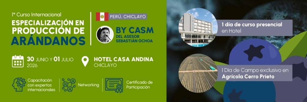 Curso Internacional de Especialización en Producción de Arándanos