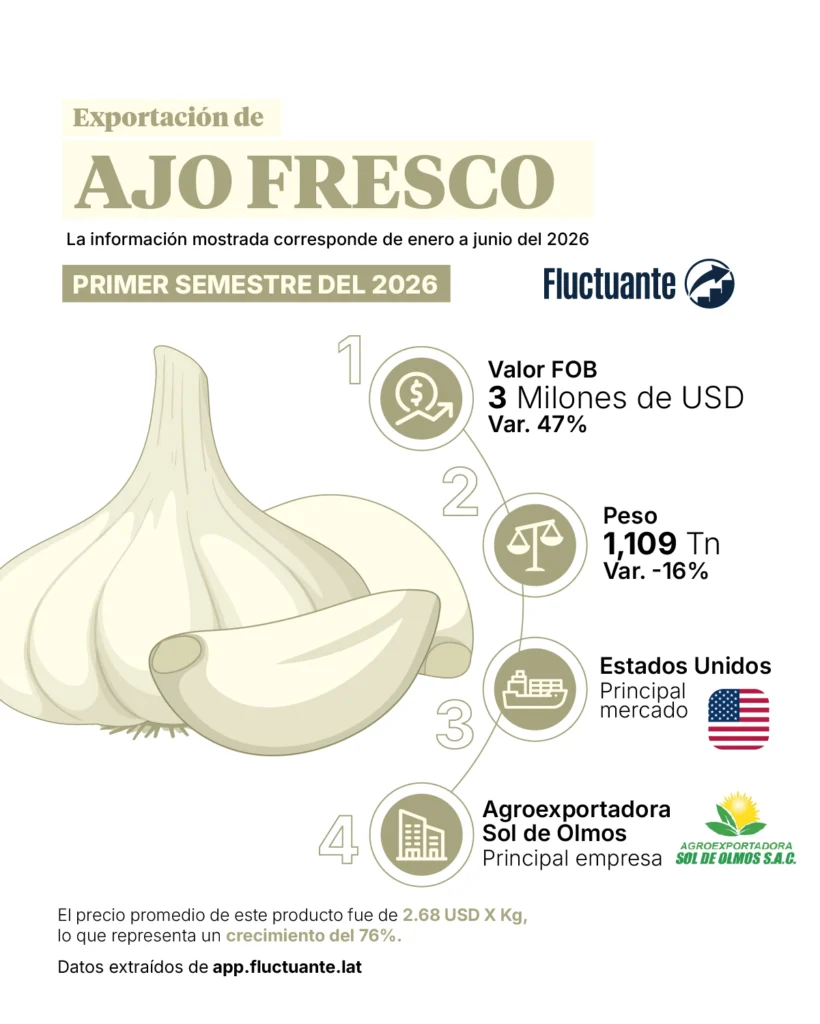 Exportaciones-de-ajo-fresco
