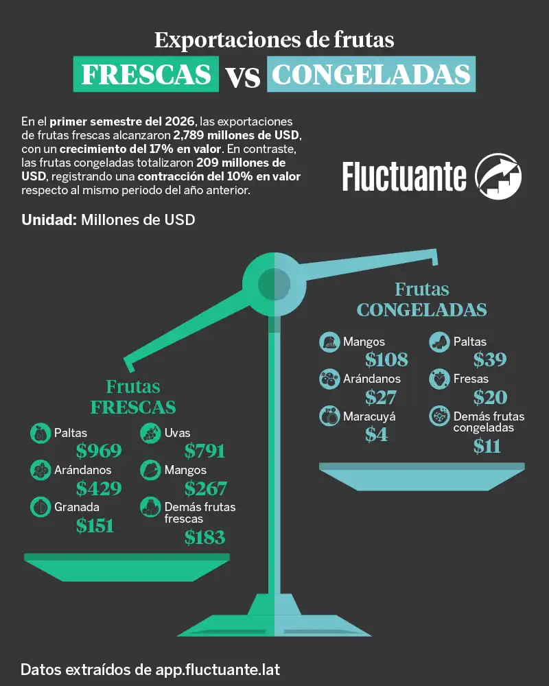 Exportación-de-frutas-Frescas-vs-Congeladas