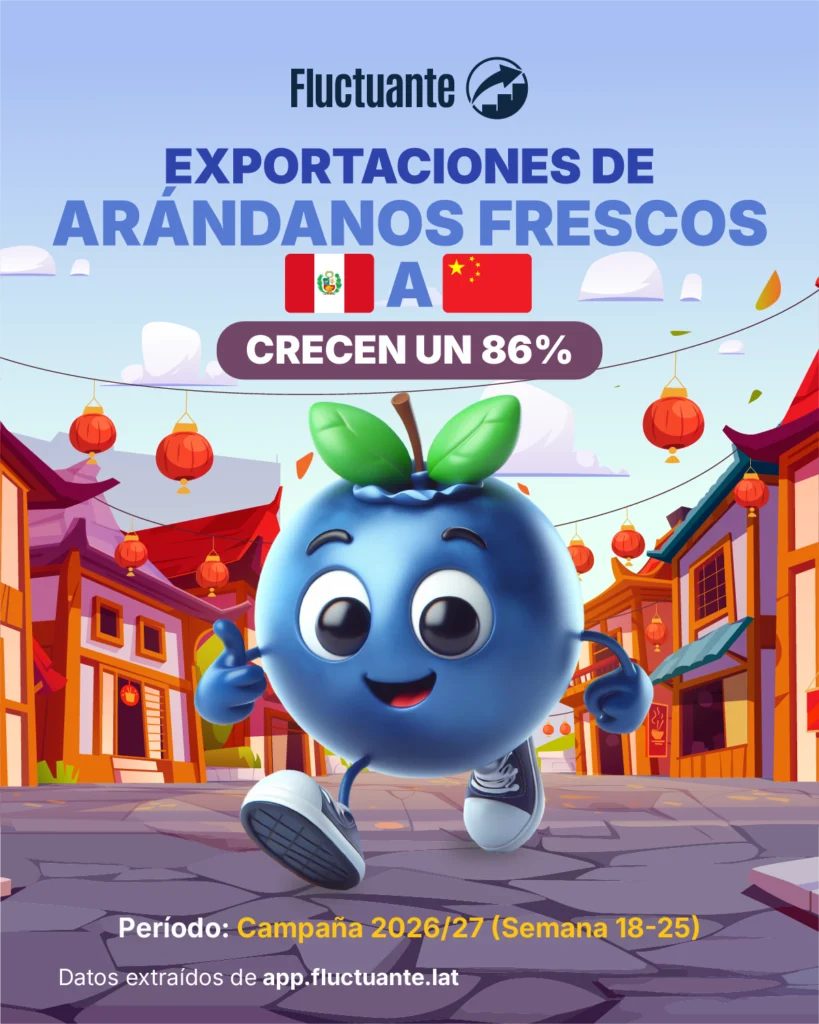 Exportación-de-arándanos-a-China