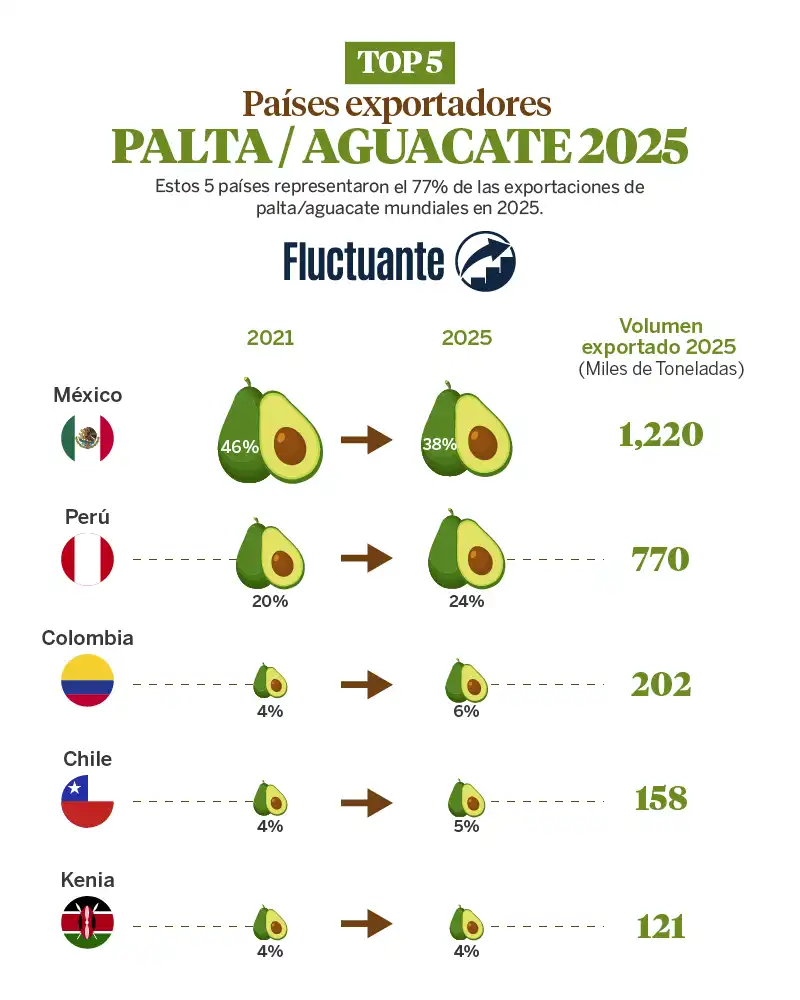 Top-5-Países-Exportadores-de-Palta-Aguacate-2025