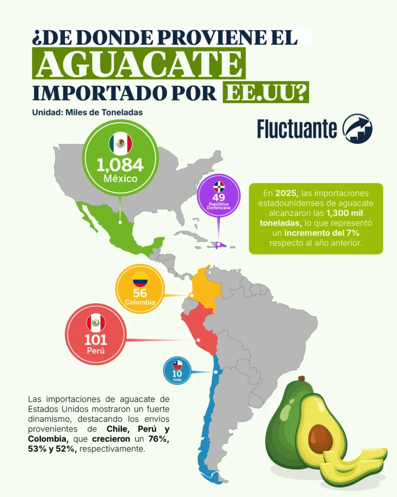 Aguacate-importador-por-EEUU