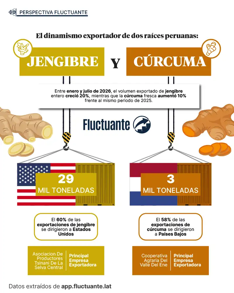 Exportación-raíces-peruanas
