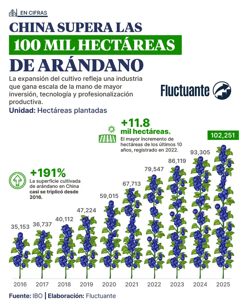 China-supera-100mil-ha-arándano