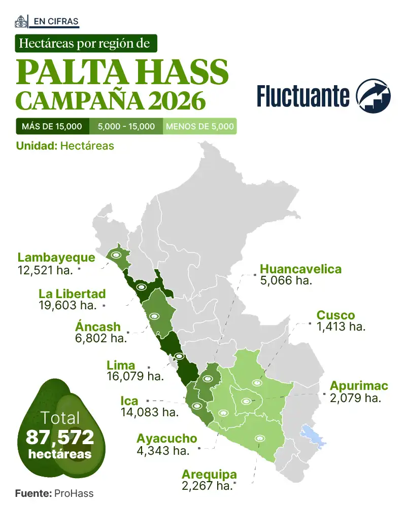 Hectáreas-por-Región-Palta-Hass-C2026
