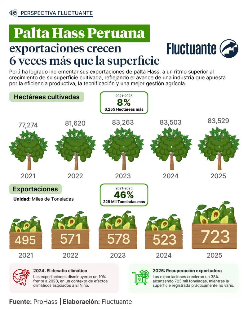 Palta-Hass-Peruana-hectáreas-exportación